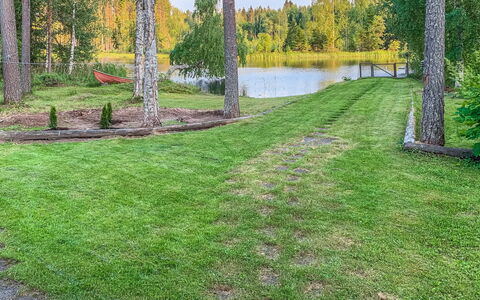 Majavanpesä: Hierba, Arbusto, Jardín, El Terreno Del Lote, Césped, Cobertura Del Suelo, Paisajismo, Yarda