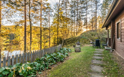 Suvituuli: Hoja, Madera, Arbusto, El Terreno Del Lote, Cabaña, El Maletero, Primavera, Bosque, Jardín, Alerce