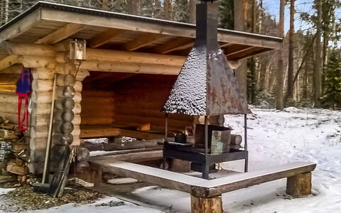 2233.: Madera, Nieve, Invierno, Cabaña, Congelación, Casa, Cuarto De Troncos, Alerce, Vía Muerta