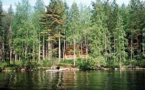 5816: Agua, Los Recursos Hídricos, Cuerpo De Agua, Árbol, Entorno Natural, Naturaleza, Camino Acuático, Bosque, Banco, Corriente De Agua