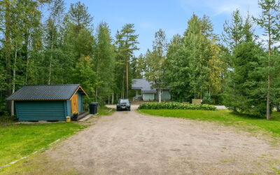 Linnanhelmi (Ent. Metsäpeura)
