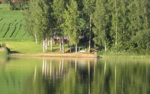 Järvenranta: Cabaña, Casa, Casa, Edificios Del Jardín, Vía Muerta, Cuarto De Troncos, Casa De Campo, Inmuebles, Cobertizo, Yarda