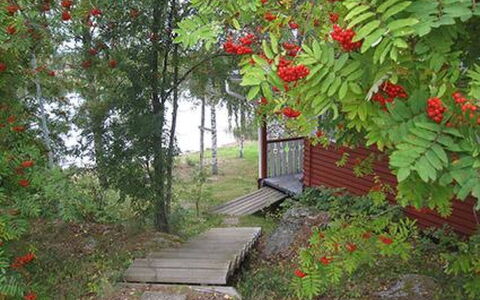 Järvenranta: Cabaña, Casa, Casa, Edificios Del Jardín, Vía Muerta, Cuarto De Troncos, Casa De Campo, Inmuebles, Cobertizo, Yarda