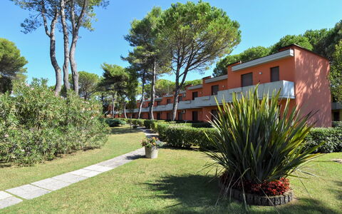 Bibione 380: Planta, Cielo, Tiempo De Día, Planta De La Comunidad, Árbol, Hoja, El Terreno Del Lote, Sombra, Arecales, Paisaje Natural