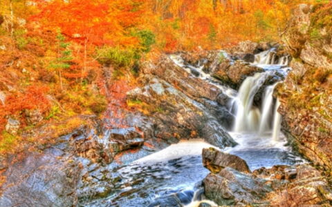 Inverness 101: Agua, Planta, Hoja, Paisaje Natural, Rama, Árbol, Corriente De Agua, Cascada, Primavera