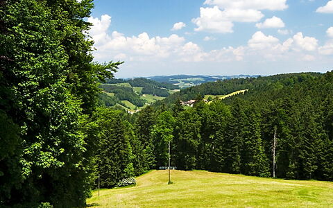 Egggraben: Accidentes Geográficos Montañosas, Paisaje Natural, Naturaleza, Verde, Árbol, Pradera, Reserva Natural, Vegetación, Los Bosques De Coníferas Tropicales Y Subtropicales, Entorno Natural