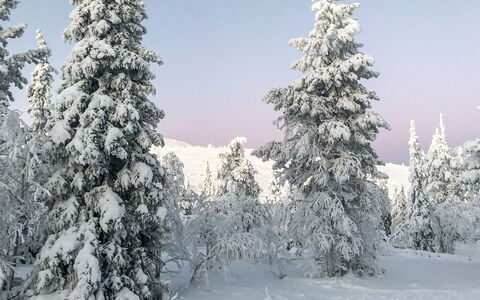 Utsunusko a: Madera, Nieve, Invierno, Cabaña, Congelación, Casa, Cuarto De Troncos, Alerce, Vía Muerta