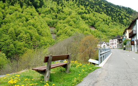 Vergeletto 100: Naturaleza, Vegetación, Árbol, Primavera, Hierba, Montaña, Hill Station, Área Rural, Planta, Banco