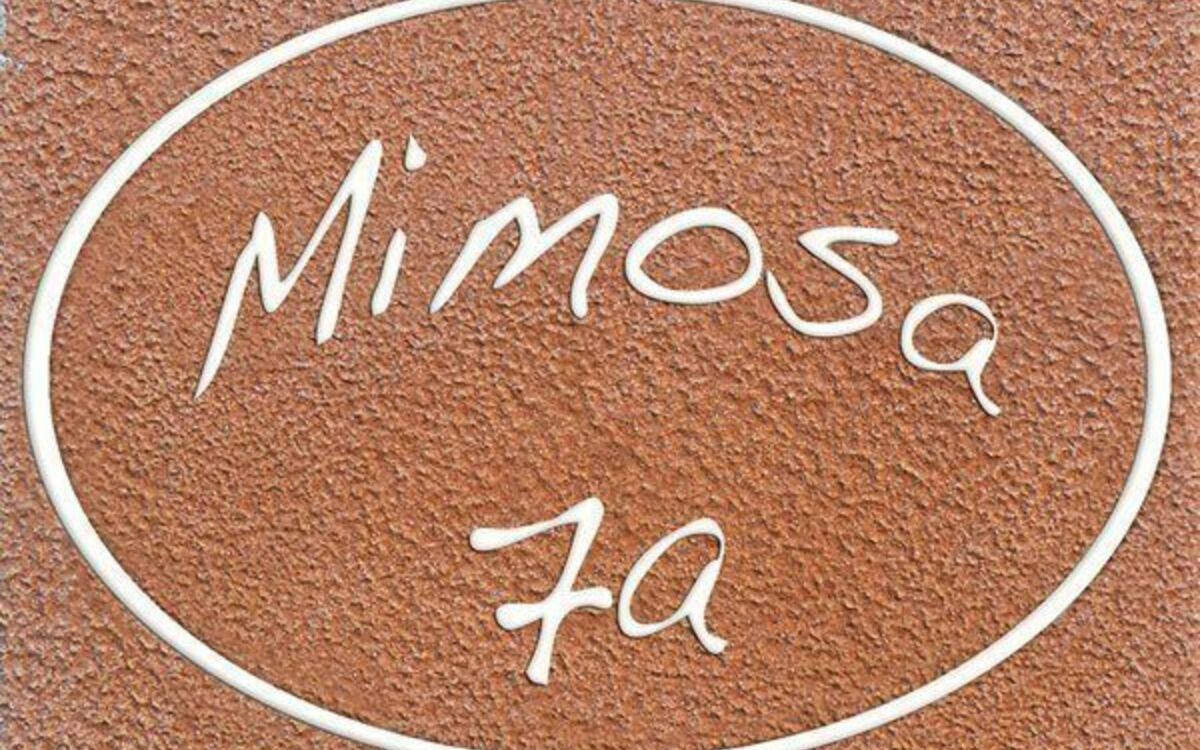 Alojamiento:&nbsp;Mimosa