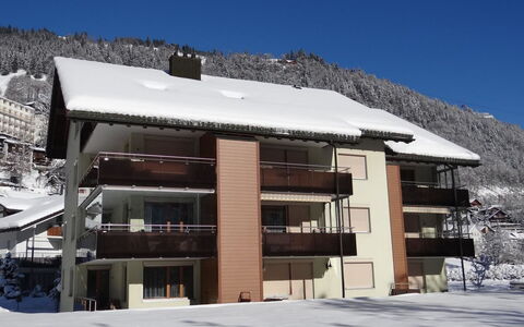 Engelberg 787: Invierno, Nieve, Congelación, Landform Glaciales, Pueblo De Montaña, Balcón, La Luz Del Día, Alpes