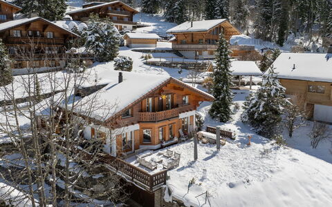 Chalet Petit Pont: Árbol, Casa, Casa, Cabaña, Techo, Nieve, Invierno, Hill Station, Alerce, Pueblo