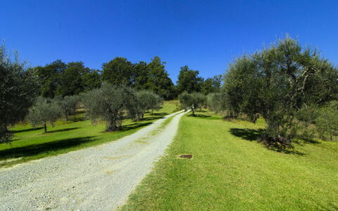 La Casetta nel Bosco: Inmuebles, Casa De Campo, Jardín, Paisajismo, Hacienda, Césped, Villa, Yarda, Patio Interior, Mansión