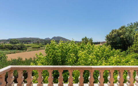 Mas Rovira 8: Balaustre, Balcón, Plantación, Cerca, Pretil