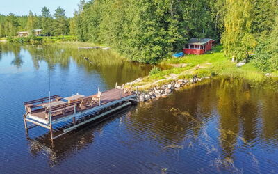 Saniainen 5