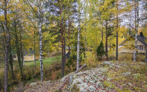 Orava-Apaja: Cabaña, Casa, Casa, Edificios Del Jardín, Vía Muerta, Cuarto De Troncos, Casa De Campo, Inmuebles, Cobertizo, Yarda