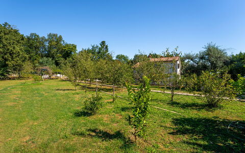 Opatija Ika 106: Árbol, Entorno Natural, Vegetación, Arbusto, Llanura, Pradera, Área Rural, El Terreno Del Lote, Jardín