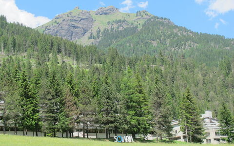 Canazei 200: Nube, Planta, Cielo, Montaña, Planta De La Comunidad, Paisaje Natural, Alerce, Árbol, Vegetación, Biome