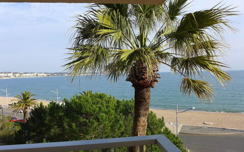 Fréjus 110: Árbol, Palmera, Arecales, Propiedad, Plantas Leñosas, Planta, Vacaciones, Palmera Datilera, Casa, Mar