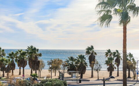 Cap Hermes: Árbol, Palmera, Arecales, Plantas Leñosas, Cielo, Planta, Mar, Vacaciones, Playa, Apuntalar