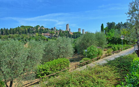 Poggiluglio: Vegetación, Árbol, Biome, Desierto, Cielo, Área Urbana, Botánica, Planta, Colina, Jardín