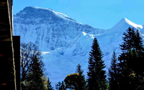 Wengen 11: Cielo, Montaña, Nieve, Ecorregión, Mundo, Paisaje Natural, Árbol, Azur, Tierras Altas, Alerce