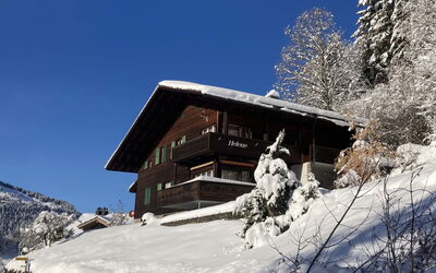 Wengen 24