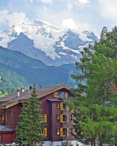 Wengen 24