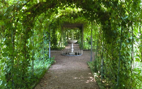 Villa Quattro Mori: Jardín, Césped, Paisajismo, Sombra, Mueble Para Exteriores, Parque, Hacienda, Inmuebles, Yarda, Eco Hotel