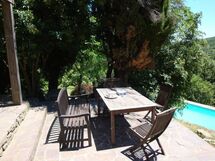 Alojamiento:&nbsp;Pool Suite