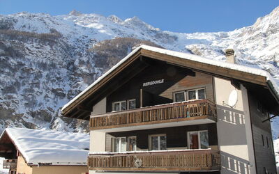 Bergdohle