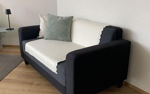 Haus Saturn: Amortiguar, Sofá, Arrojar La Almohada, Almohada, Sala, Linos, Sofa Cama, Futón, Brazo