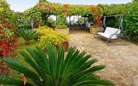 'O Pignatiello: Vegetación, Flor, Planta, Jardín, Botánica, Agave, Xanthorrhoeaceae, Planta De La Comunidad, Paisaje, Hierba