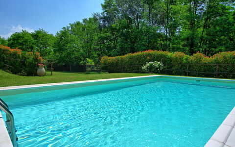 Casa Ovile: Agua, Planta, Cielo, Piscina, Verde, Azur, Rectángulo, Sombra, Árbol, Hierba