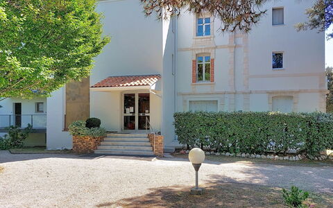 Le Platin: Arbusto, Barrio Residencial, Casa, Jardín, Inmuebles, Sombra, Paisajismo, Yarda, Entrada De Coches, Villa