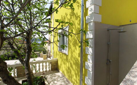 Novigrad (Zadar) 126: Edificio, Planta, Sombra, Luz De Sol, Casa, Amarillo, Ventana, Árbol, Superficie De La Carretera, Madera