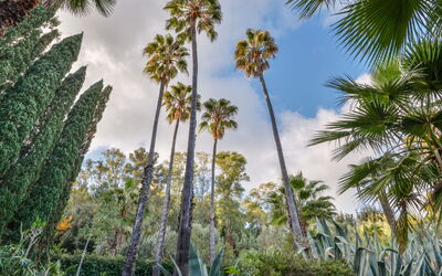 Alojamiento:&nbsp;Villa le Palme 400.11