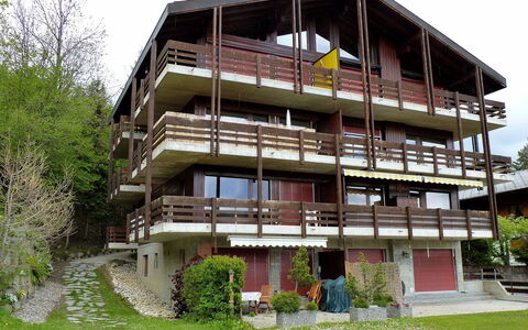 Ovronnaz 119: Planta, Cielo, Edificio, Ventana, Árbol, El Terreno Del Lote, Casa, Diseño Urbano, Barrio Residencial, Madera