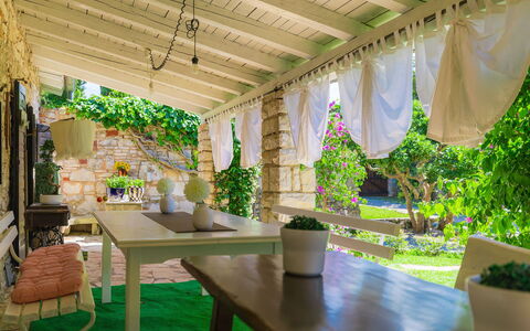 Moira: Planta, Mesa, Mueble, Propiedad, Verde, Decoración, Planta De Casa, Diseño De Interiores, Madera, Sala