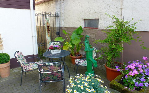 Roth: Flor, Floristas, Maceta, Patio, Planta, Jardín, Casa, Edificio, Balcón, Patio Interior