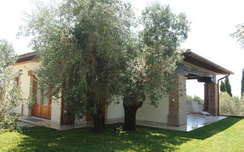 Villa Dei Cipressi: Propiedad, Árbol, Casa, Casa, Bienes Raíces, Edificio, Hierba, Yarda, Plantas Leñosas, Planta