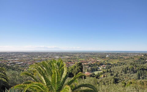 Villa Camaiore: Vegetación, Cielo, Árbol, Planta De La Comunidad, Shrubland, Botánica, Palmera, Horizonte, Planta, Colina