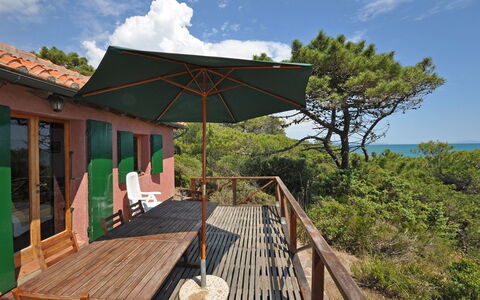 Casamare: Naturaleza, Propiedad, Reserva Natural, Paisaje Natural, Casa, Árbol, Casa, Edificio, Bienes Raíces, Arquitectura