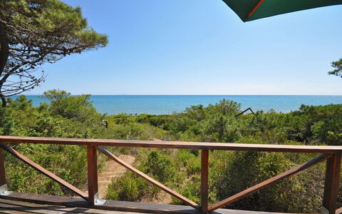 Casamare: Propiedad, Vegetación, Cielo, Bienes Raíces, Reserva Natural, Vacaciones, Árbol, Casa, Oceano, Balcón