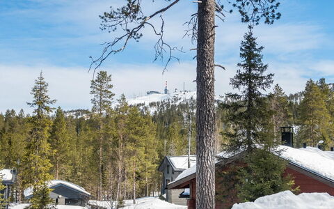 Katajarinne B: Nieve, Árbol, Invierno, Rama, Hill Station, Cabaña, Congelación, Fenómeno Geológico, Pendiente, Alerce