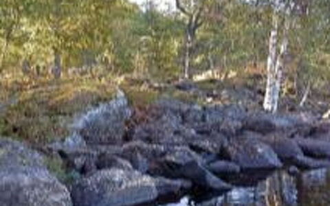 Louhiranta: Árbol, Banco, Casa, Cabaña, Lago, Estanque, Bosque, Cuarto De Troncos