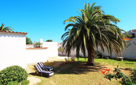 Alberes: Planta, Cielo, Edificio, Sombra, Arecales, Vegetación, Hierba, Paisaje, Bienes Raíces, Árbol