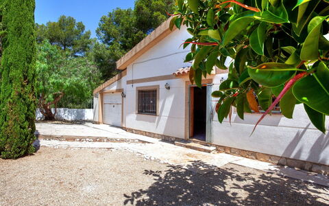 Villa Palma: Planta, Edificio, Cielo, Árbol, Ventana, Casa, Cabaña, Madera, Superficie De La Carretera, Bienes Raíces