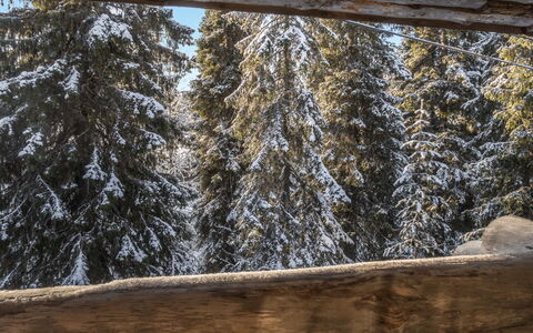 Nousujohde C1: Nieve, Madera, Invierno, Cabaña, Casa, Techo, Casa, Congelación, Cuarto De Troncos, Ramita