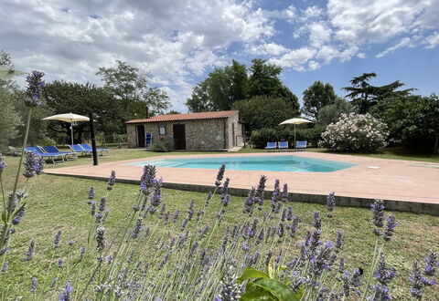 Funghi 1: Nube, Planta, Cielo, Agua, Flor, Piscina, Árbol, Hierba, Paisaje Natural, Ocio