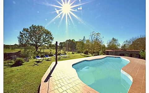 Funghi 2: Agua, Cielo, Planta, Naturaleza, Azur, Piscina, Hierba, Árbol, Sombra, Rectángulo